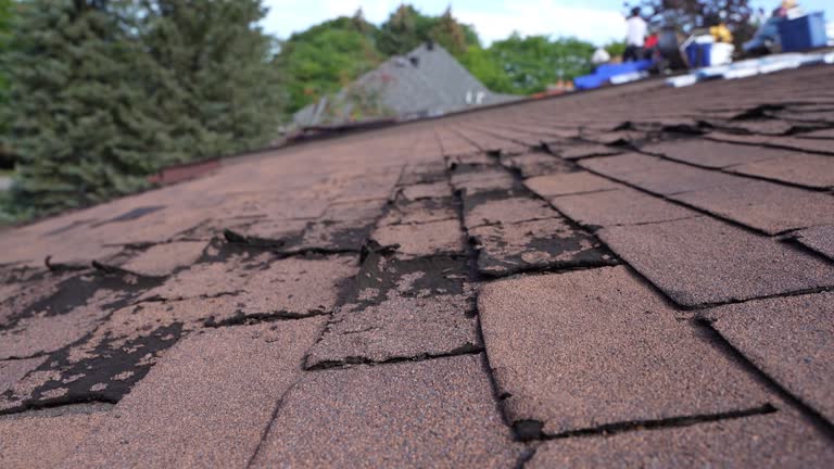 Best Asphalt Shingles Roofing  in Auburn, AL