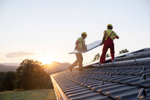 Best Skylight Installation and Repair  in Auburn, AL