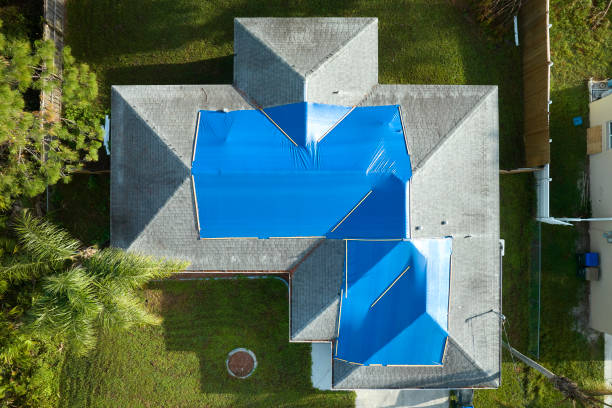 Best Cold Roofs  in Auburn, AL