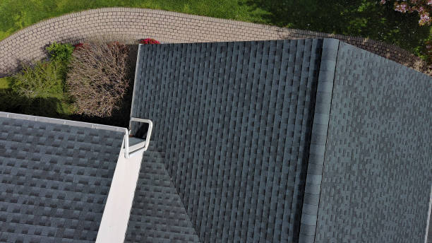 Best Sheet Metal Roofing  in Auburn, AL