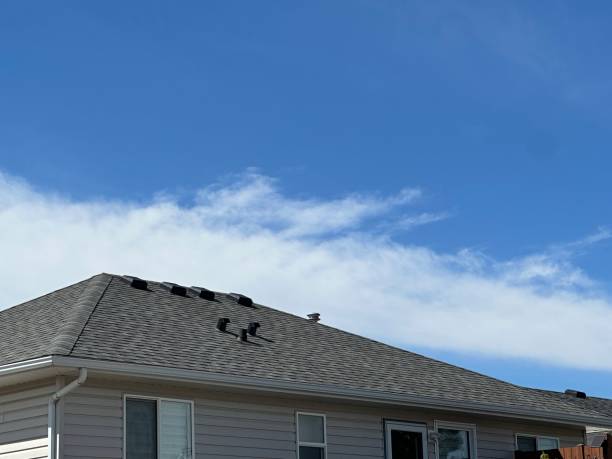 Best Metal Roofing Installation  in Auburn, AL